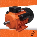 ELECTROMOTOR YASUKA (1HP)