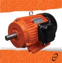 ELECTROMOTOR YASUKA (3HP)